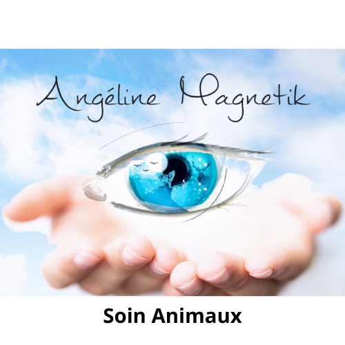 Soin Animaux 65€